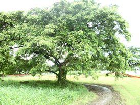 1234426_632706243427478_1501030464_n