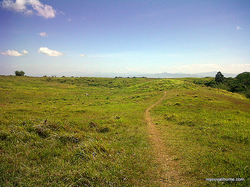 Photo courtesy of http://mynuvalihome.com/