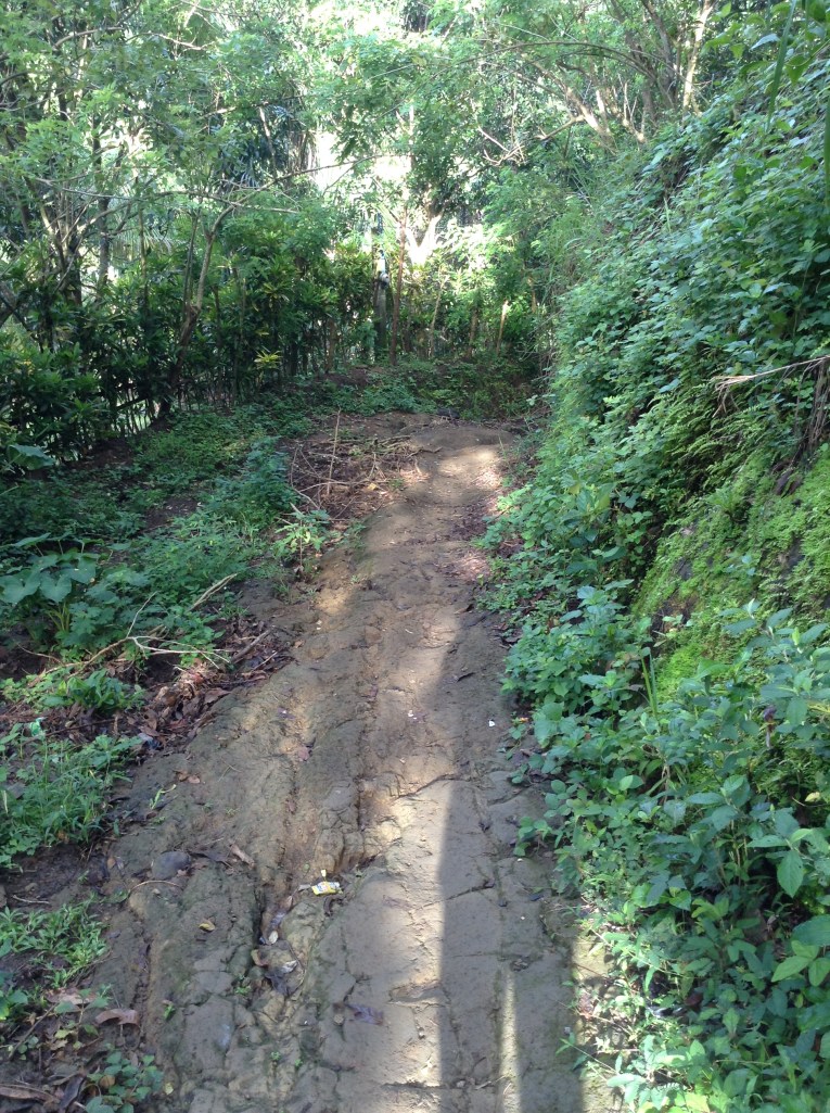 Photo 8-31-14, 7 29 53