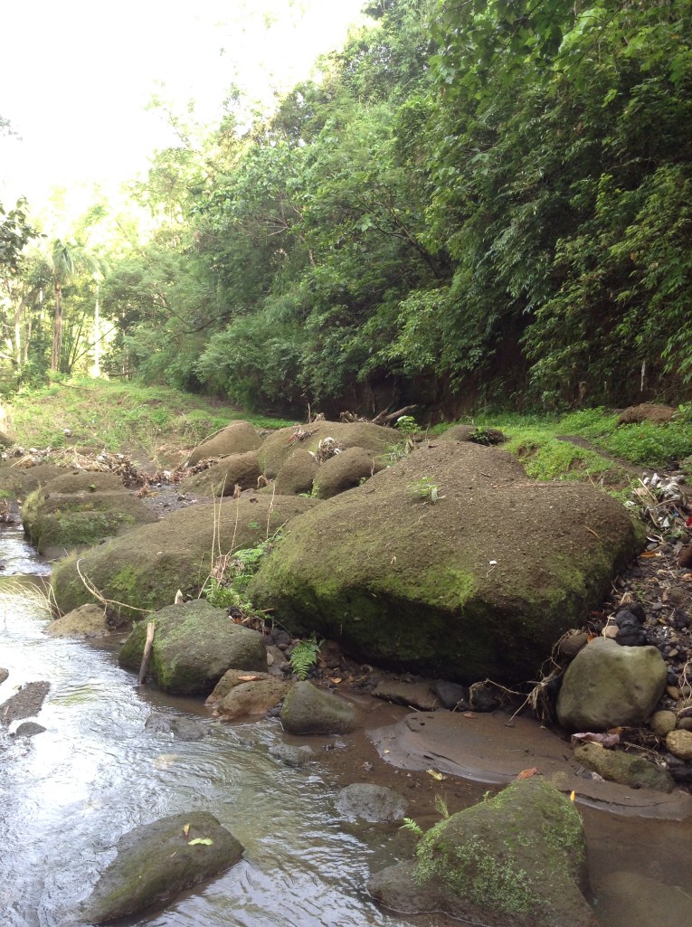 Photo 8-31-14, 7 35 22