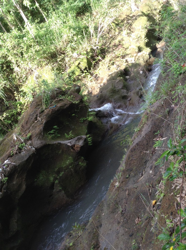 Photo 8-31-14, 7 36 34