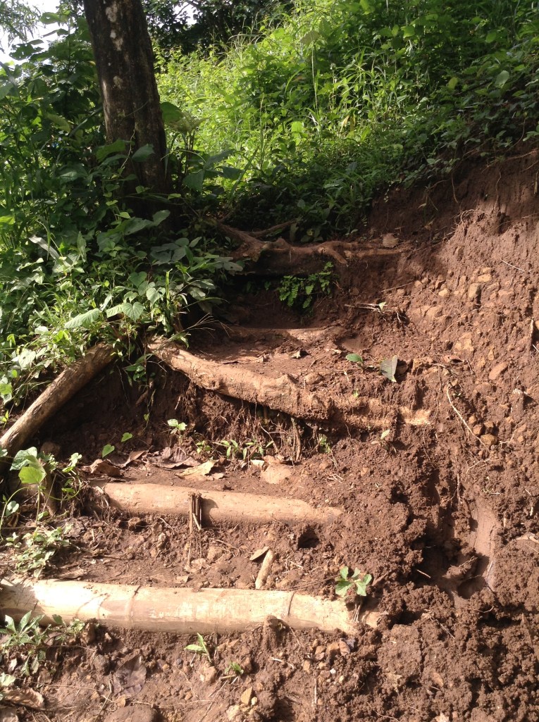 Photo 8-31-14, 7 53 07