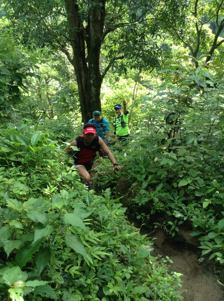 Photo 8-31-14, 7 56 09