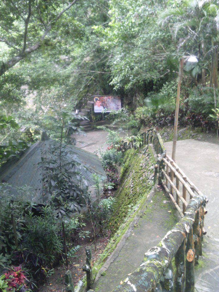 12910056_10204589654696023_21141848_n